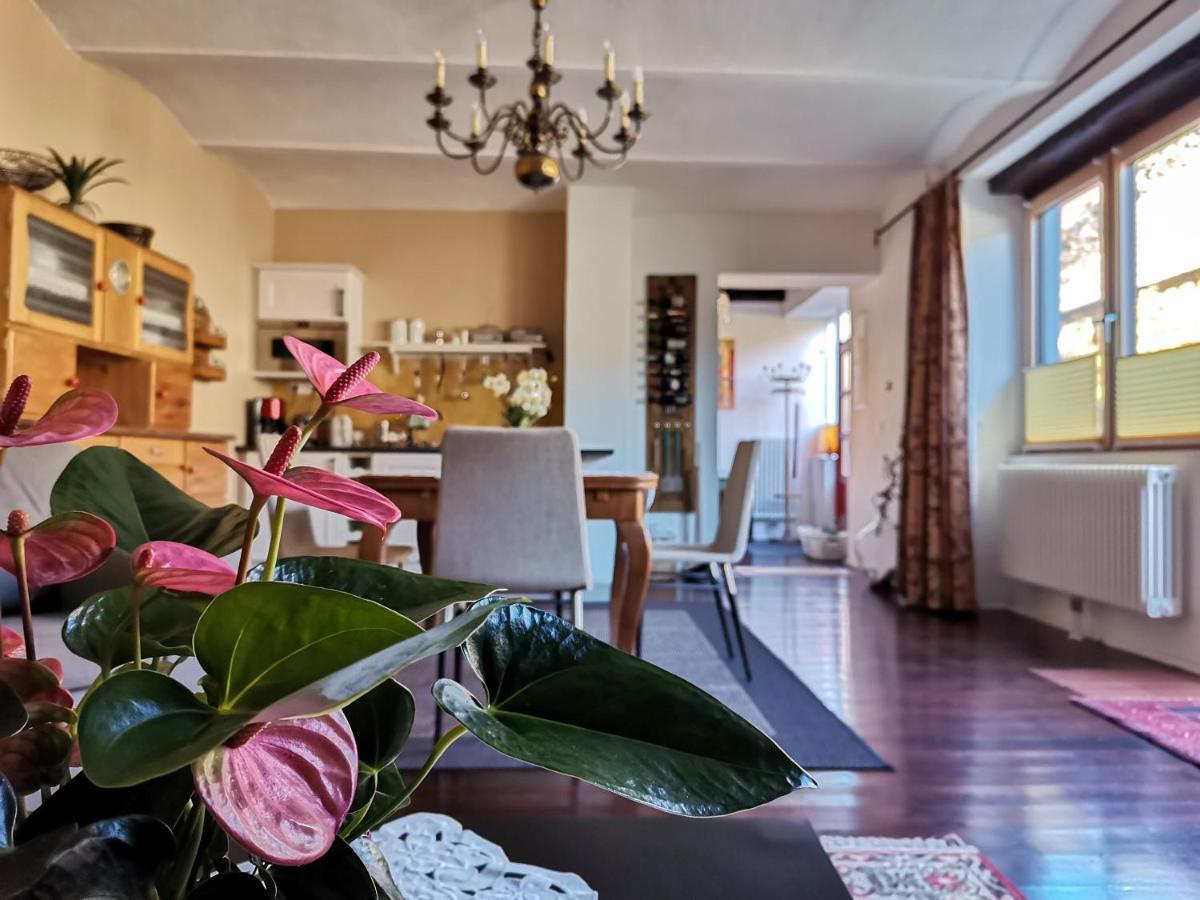 Gaestehaus Doris Пурбах-ам-Нойзидлер-Зе Экстерьер фото